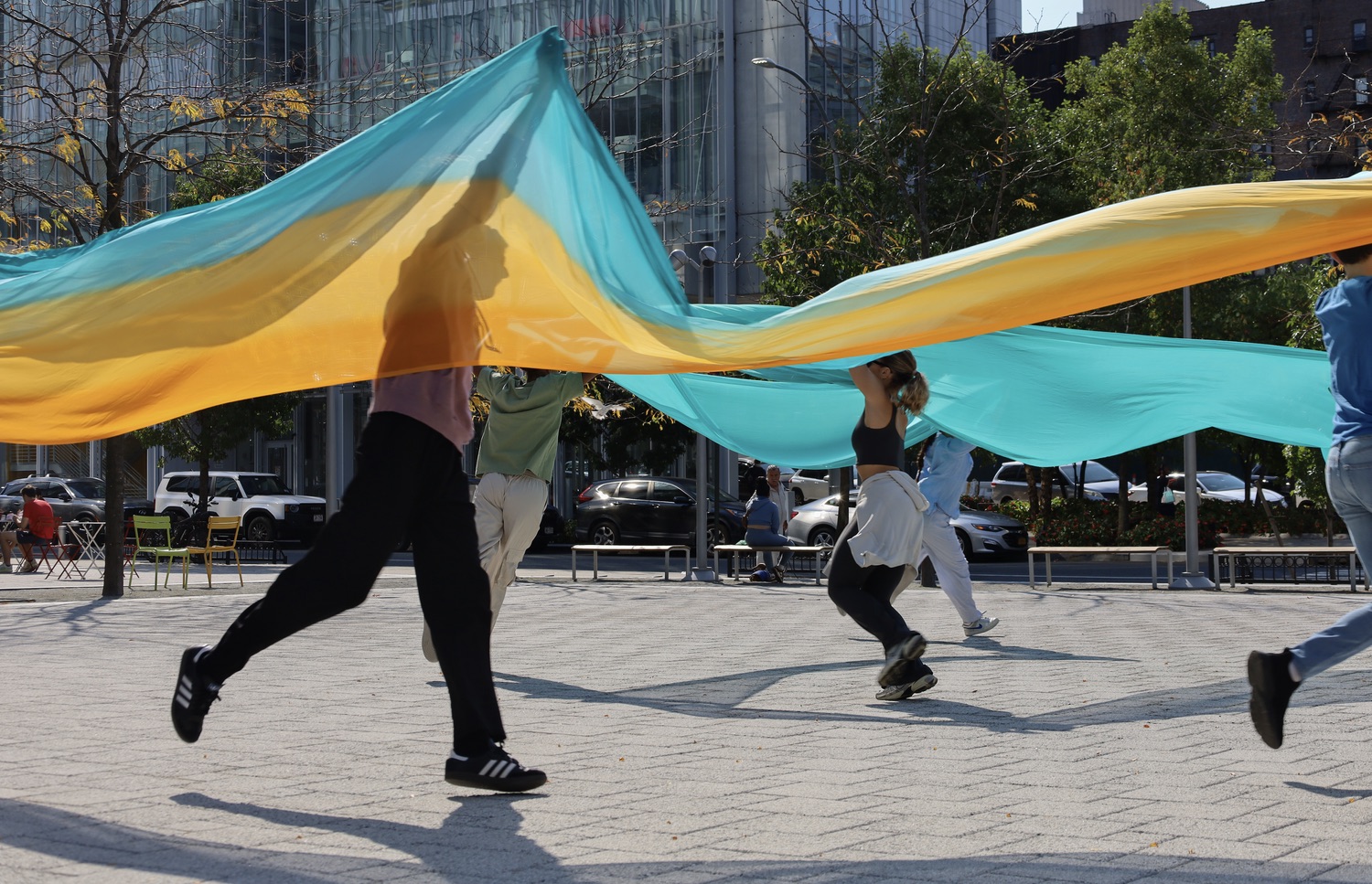 Shorelines — performance image 5