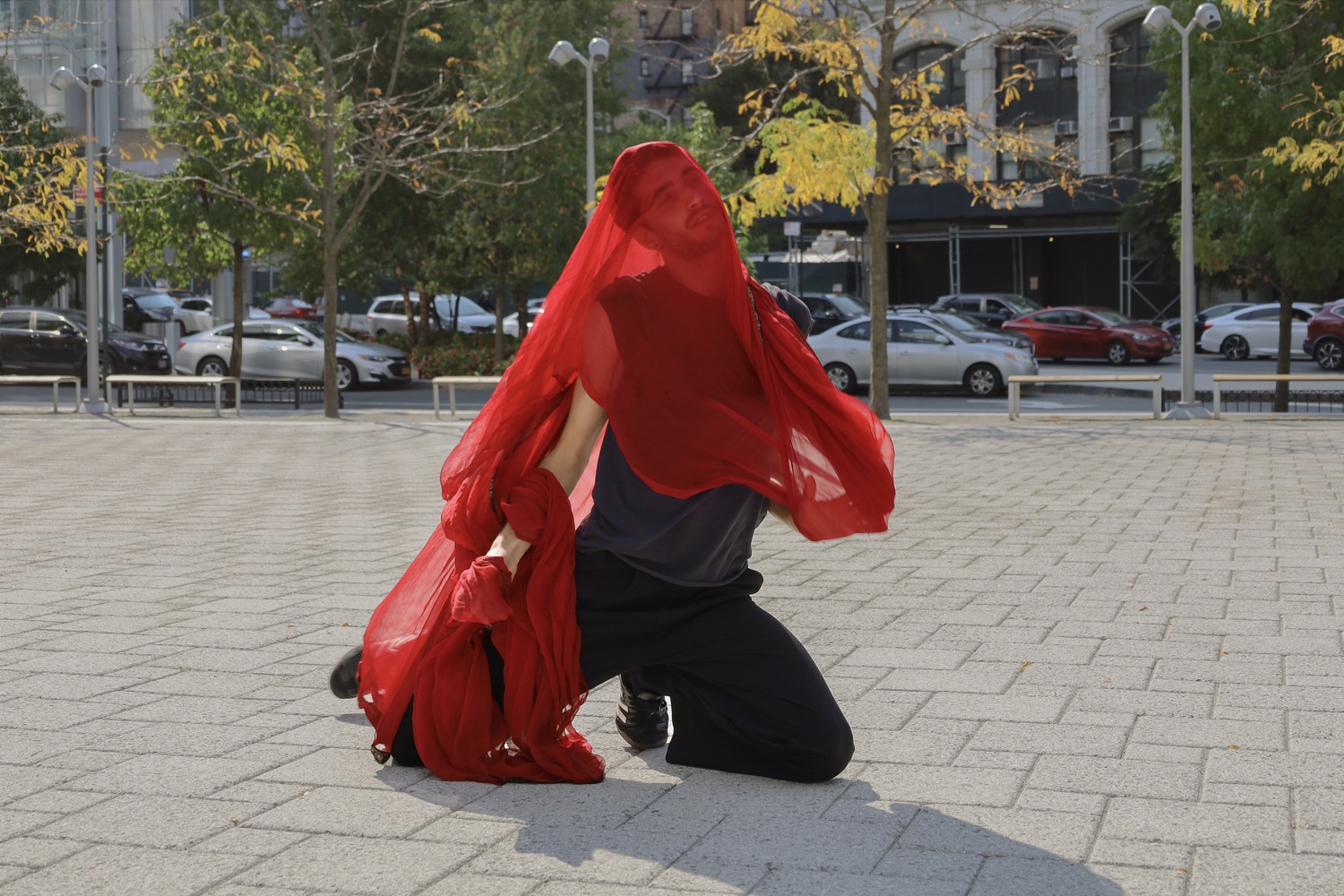 Shorelines — performance image 6