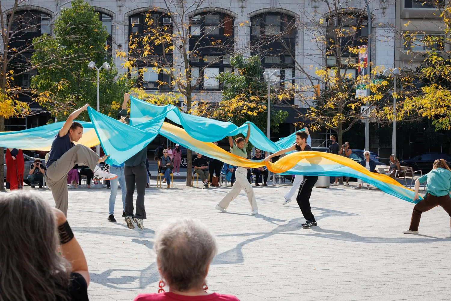 Shorelines — performance image 9
