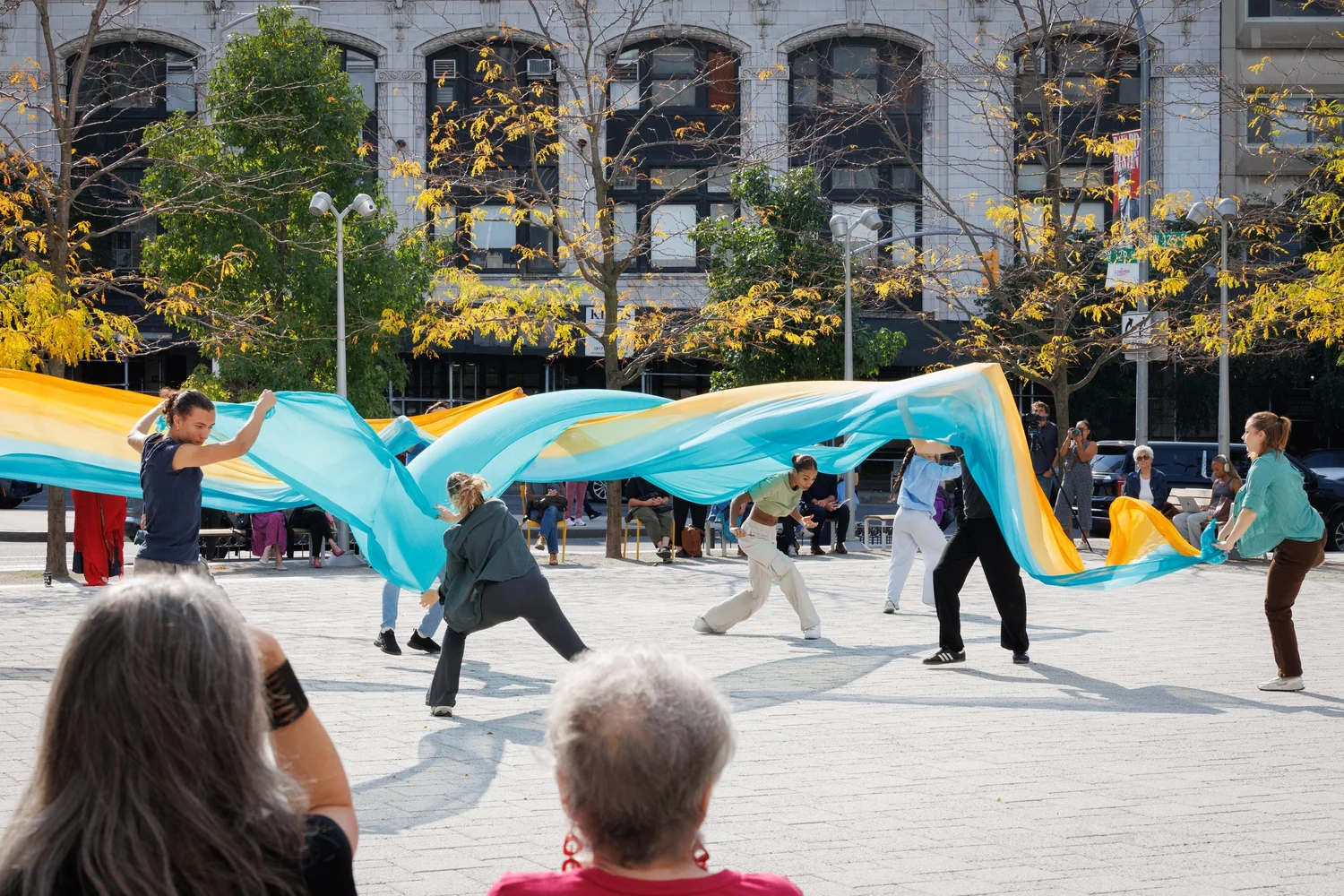 Shorelines — performance image 10