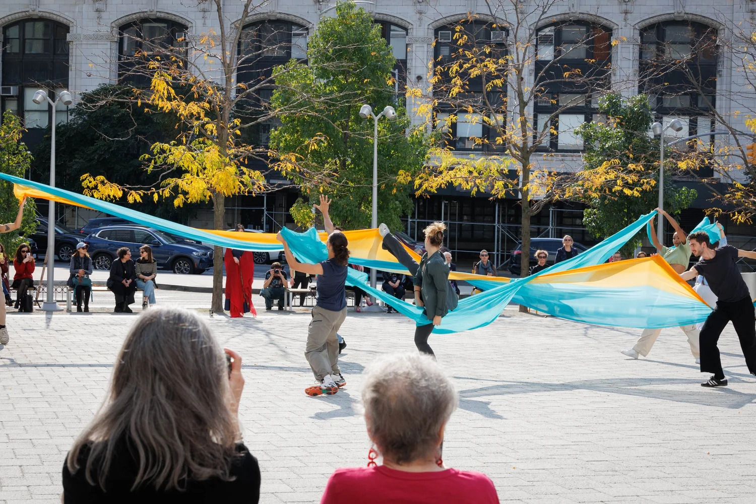 Shorelines — performance image 11