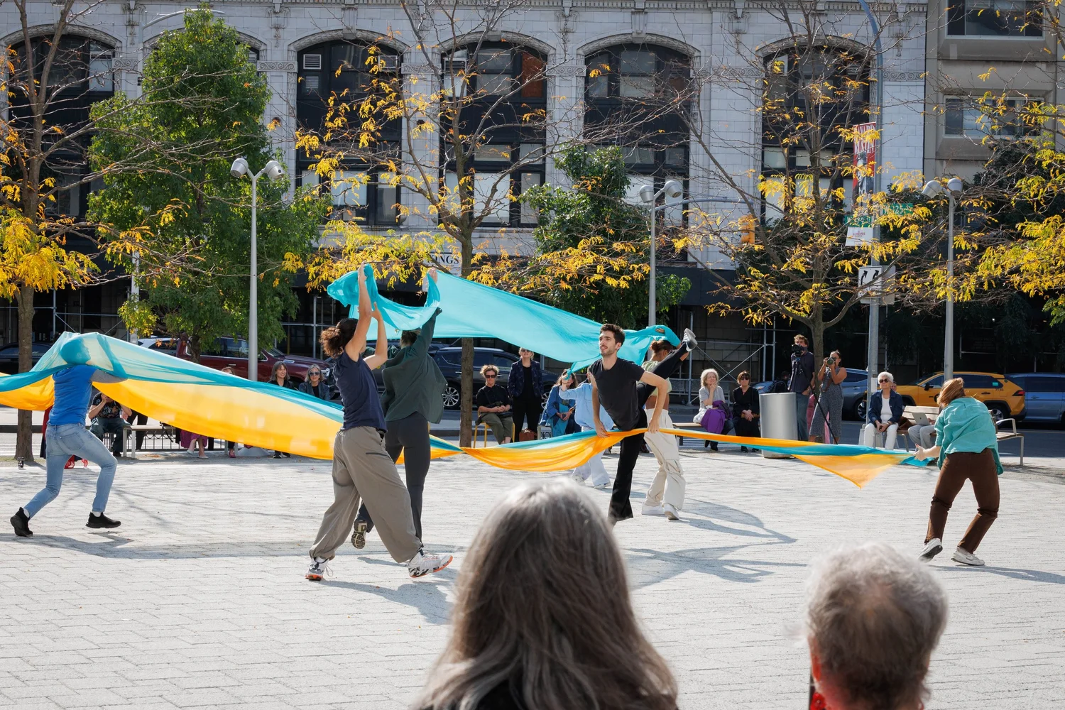 Shorelines — performance image 12