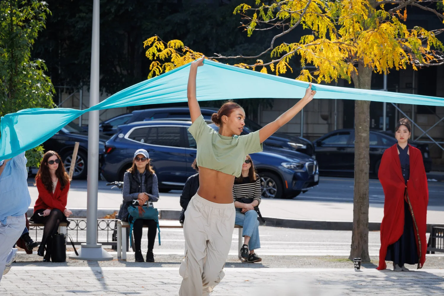 Shorelines — performance image 13