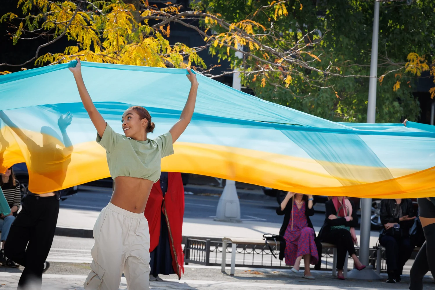 Shorelines — performance image 14