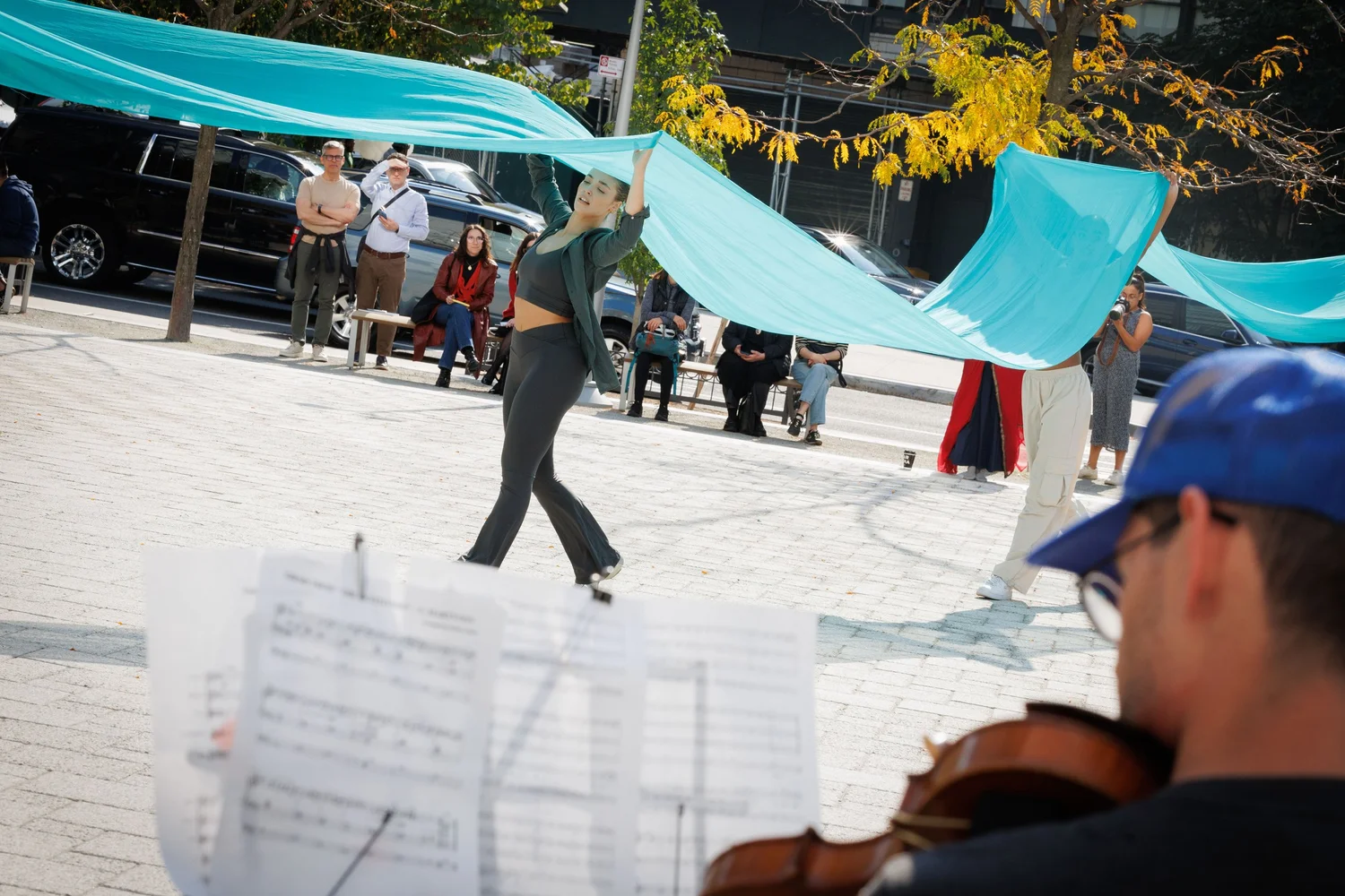 Shorelines — performance image 15