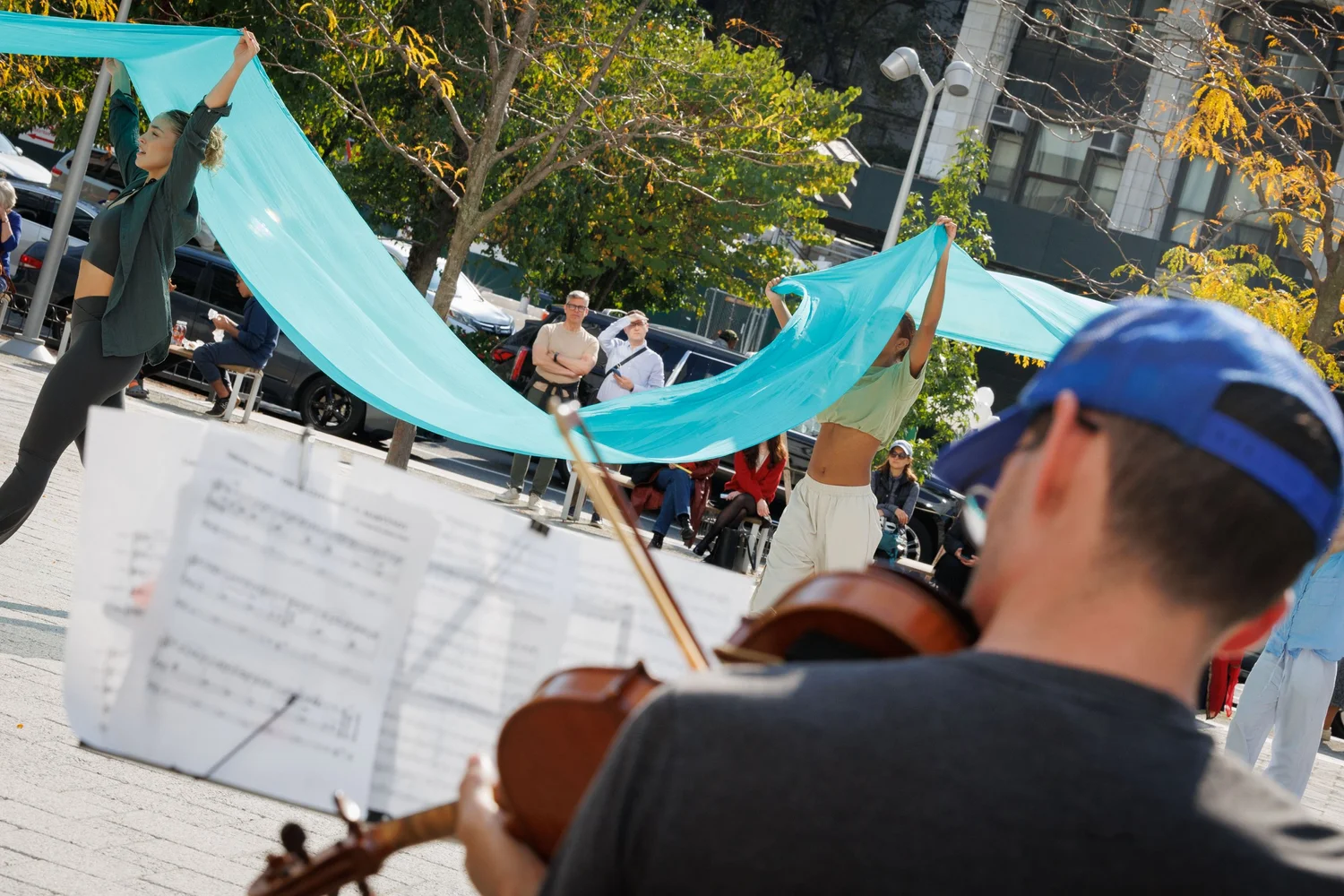 Shorelines — performance image 16