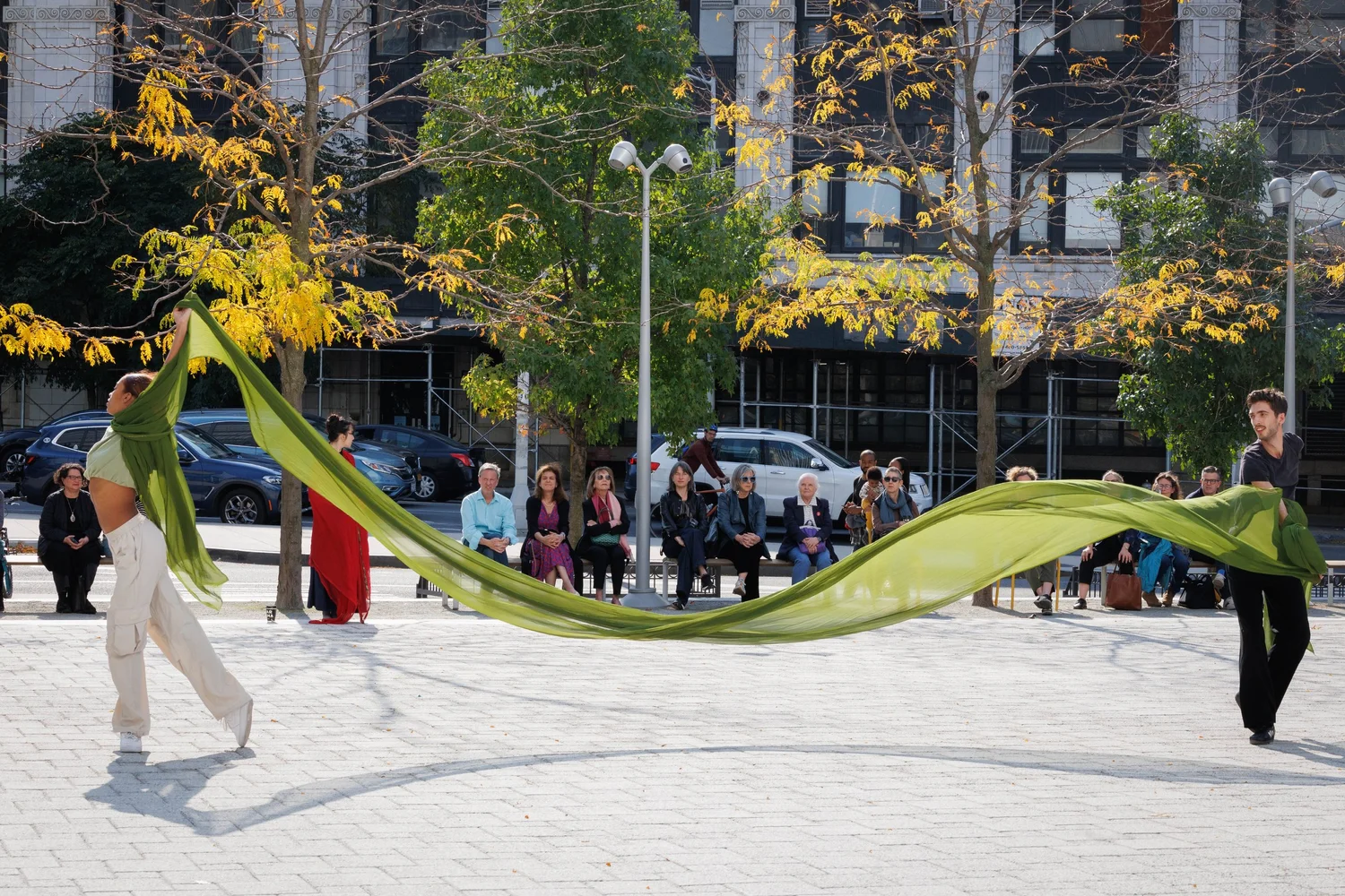 Shorelines — performance image 18