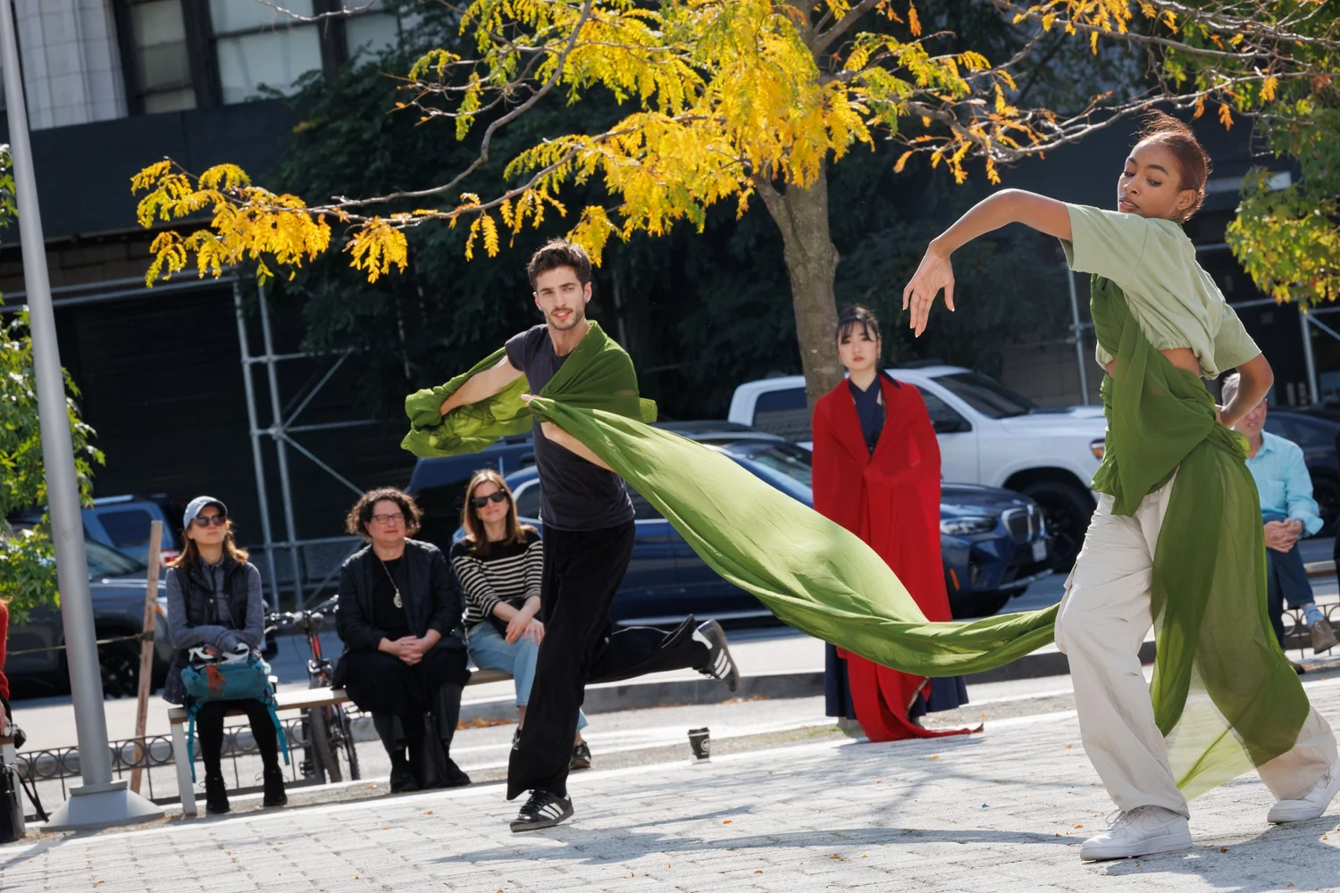 Shorelines — performance image 22
