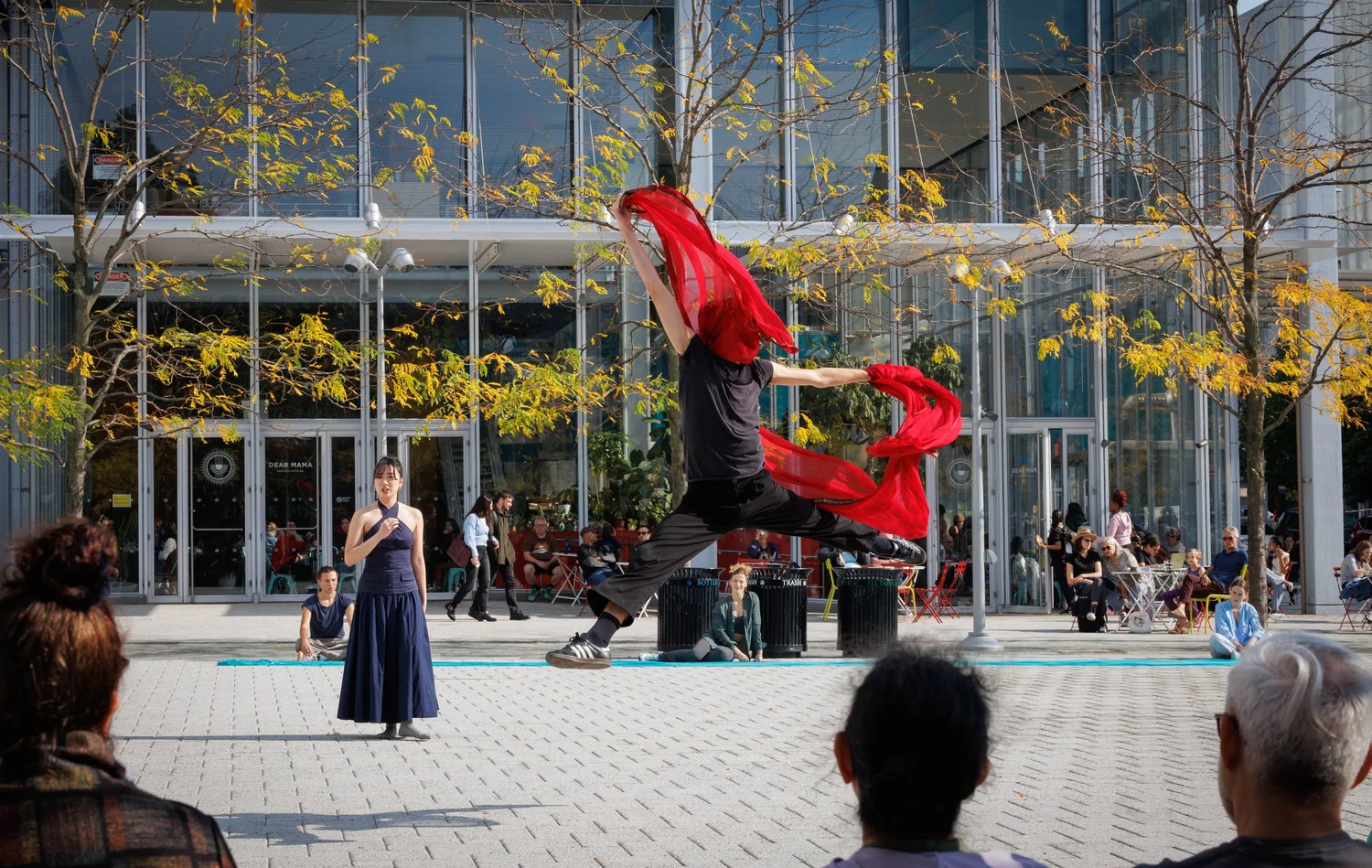 Shorelines — performance image 26