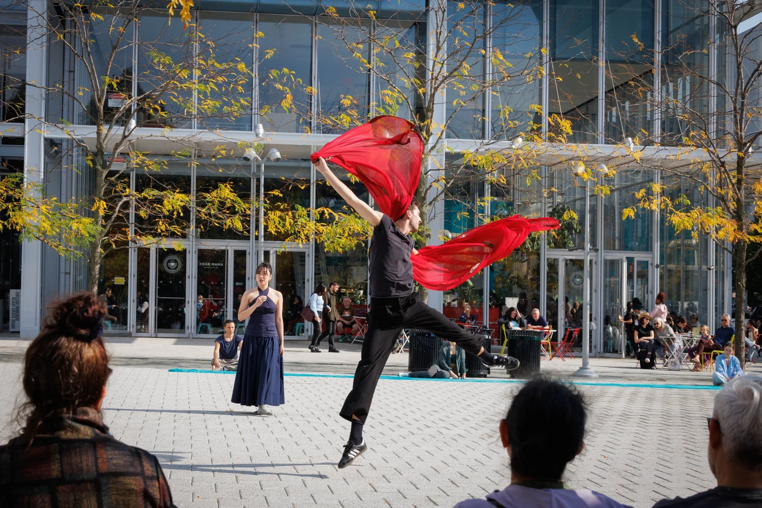 Shorelines — performance image 27