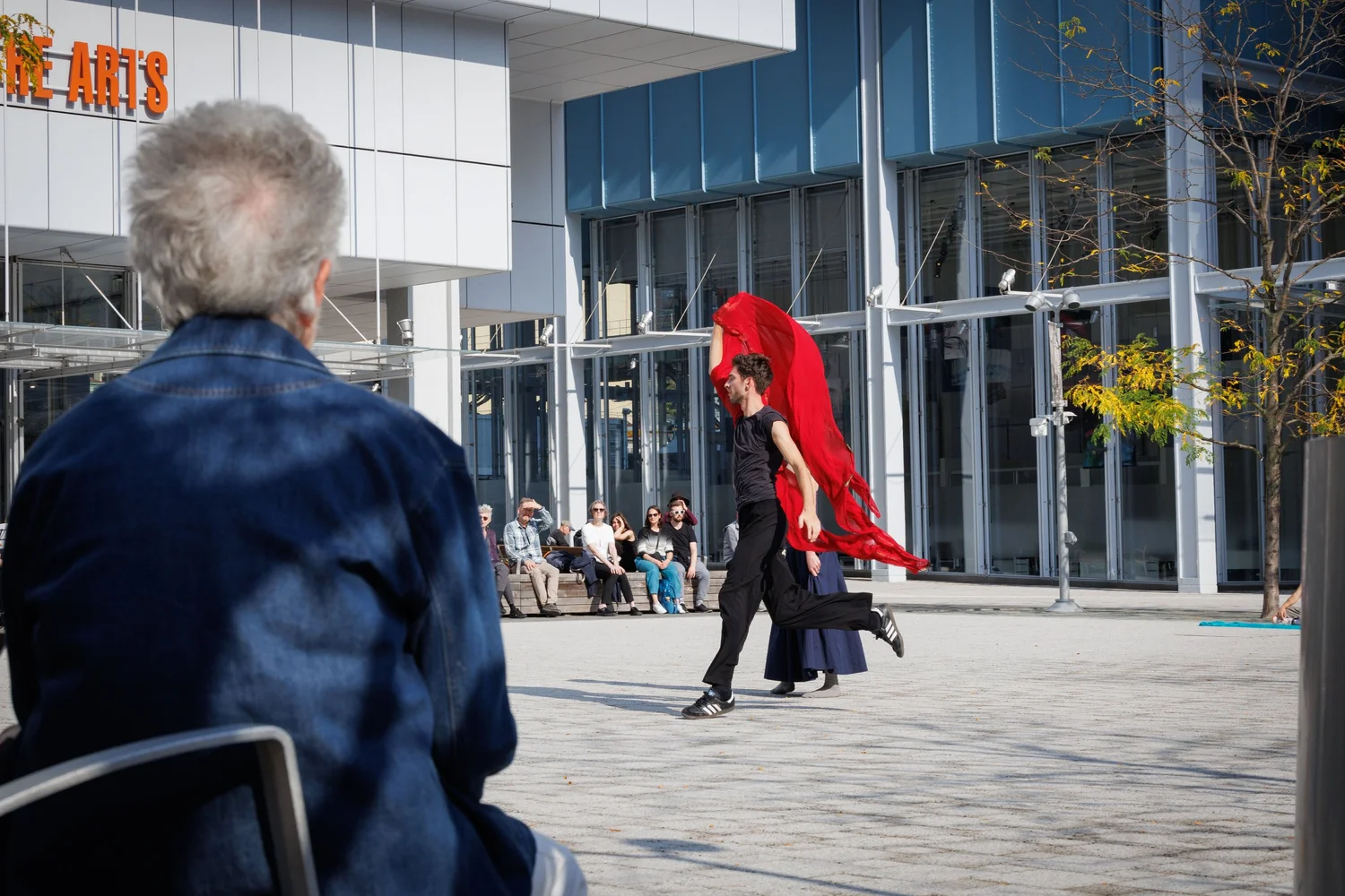 Shorelines — performance image 28