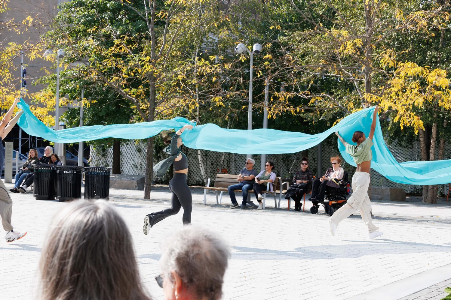 Shorelines — performance image 46