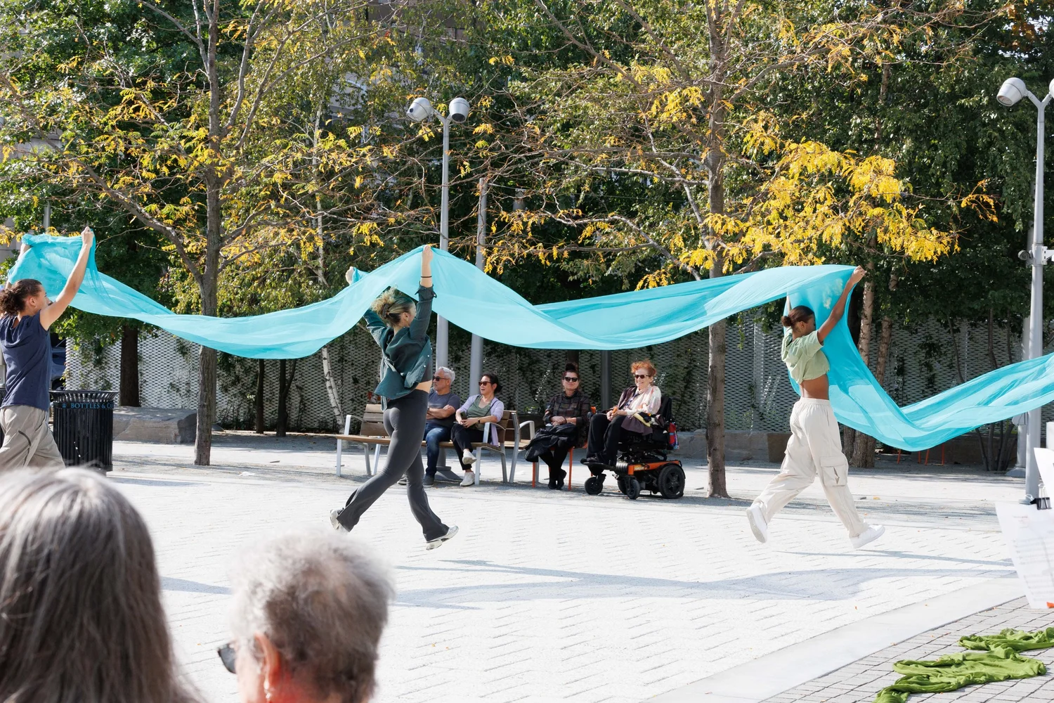 Shorelines — performance image 47