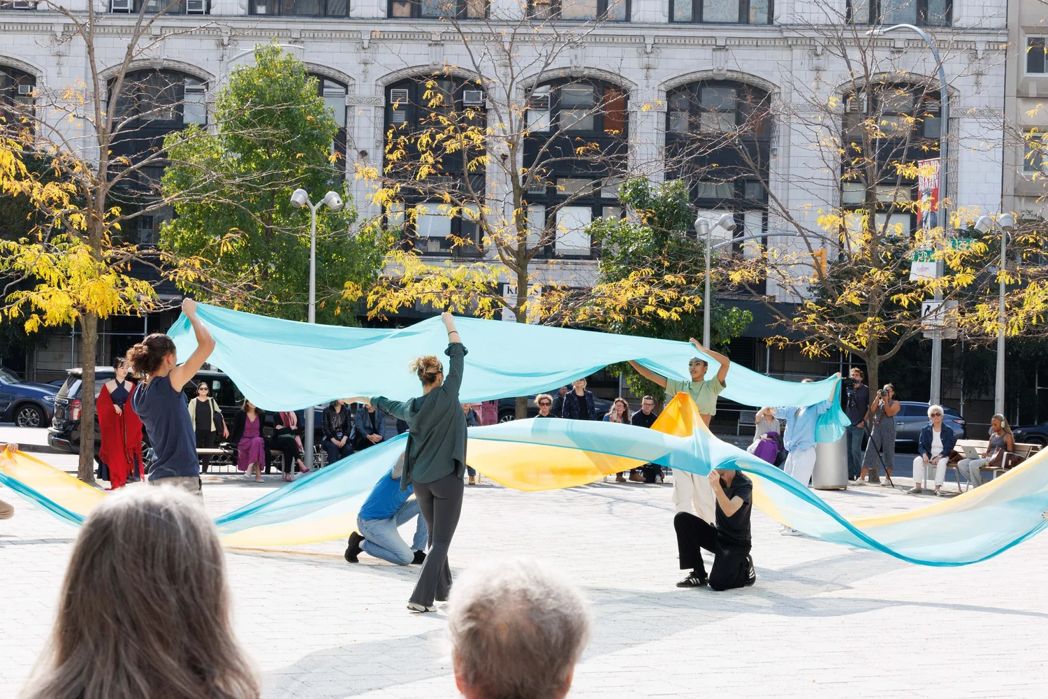 Shorelines — performance image 50