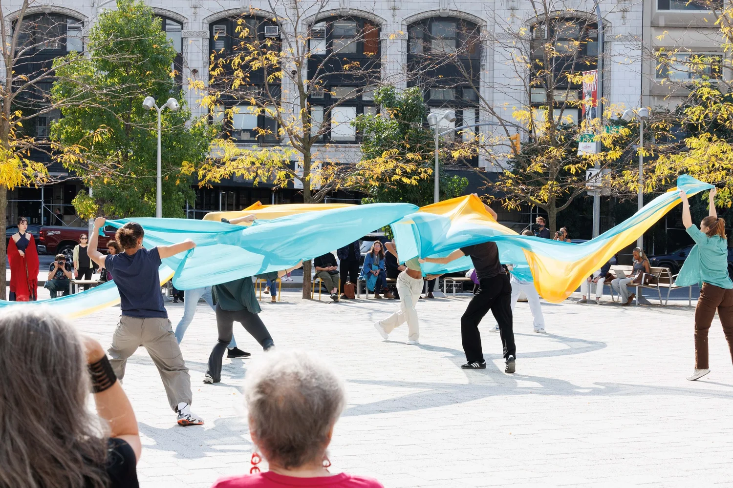 Shorelines — performance image 51