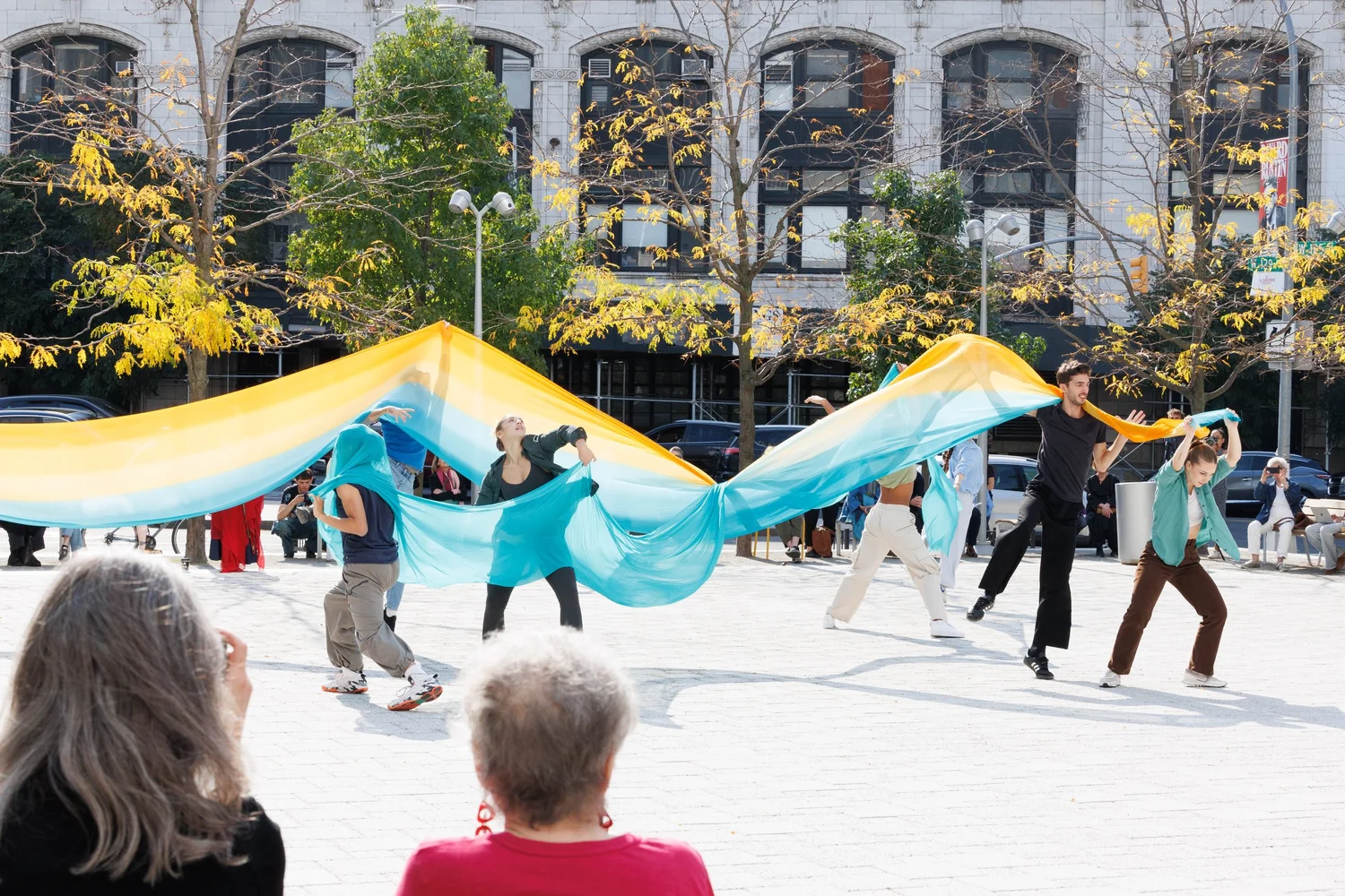 Shorelines — performance image 57