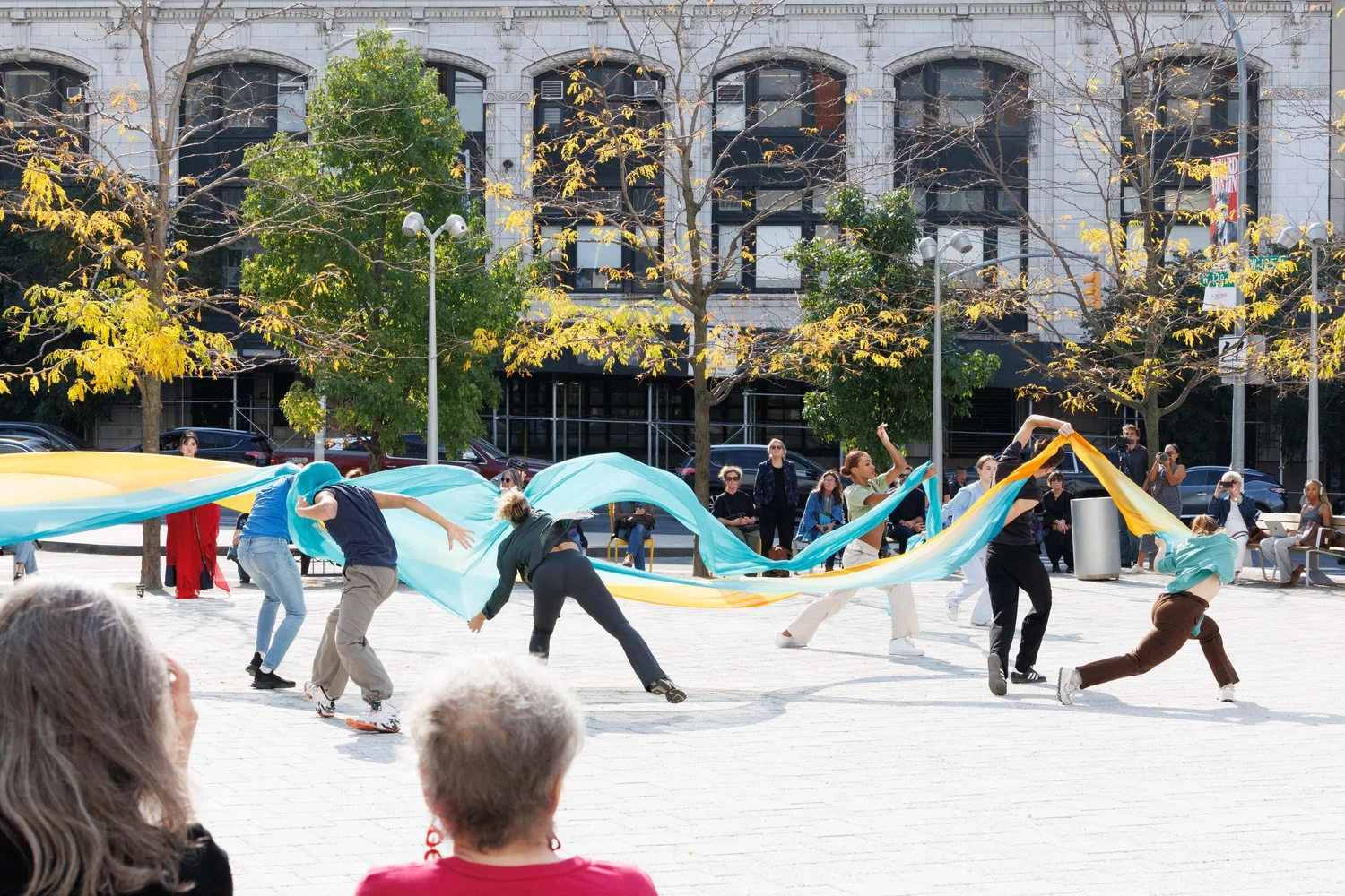 Shorelines — performance image 60