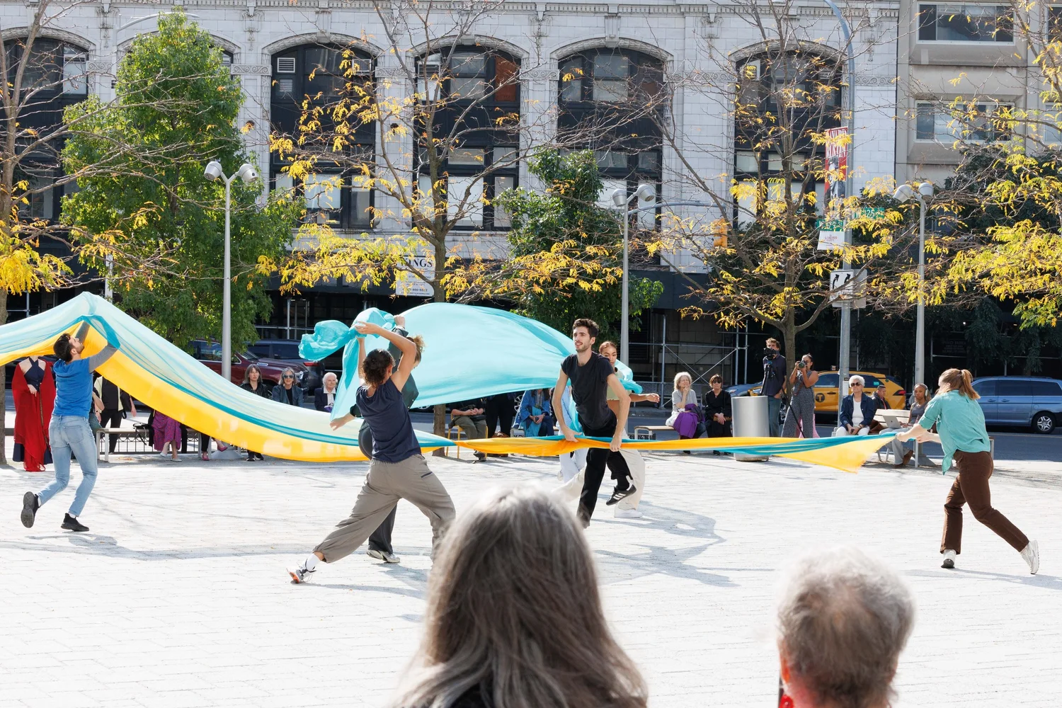 Shorelines — performance image 61