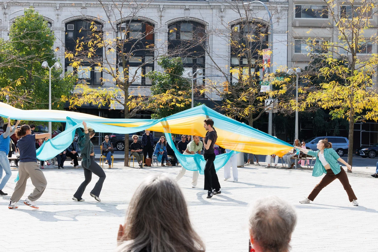 Shorelines — performance image 62