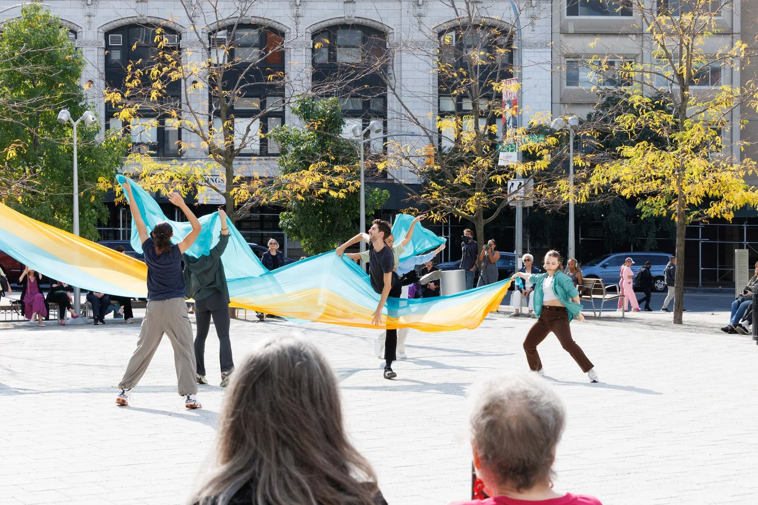Shorelines — performance image 65