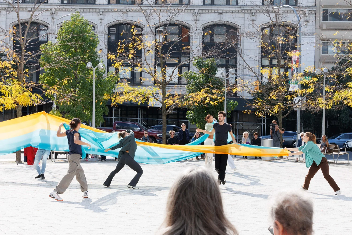 Shorelines — performance image 66