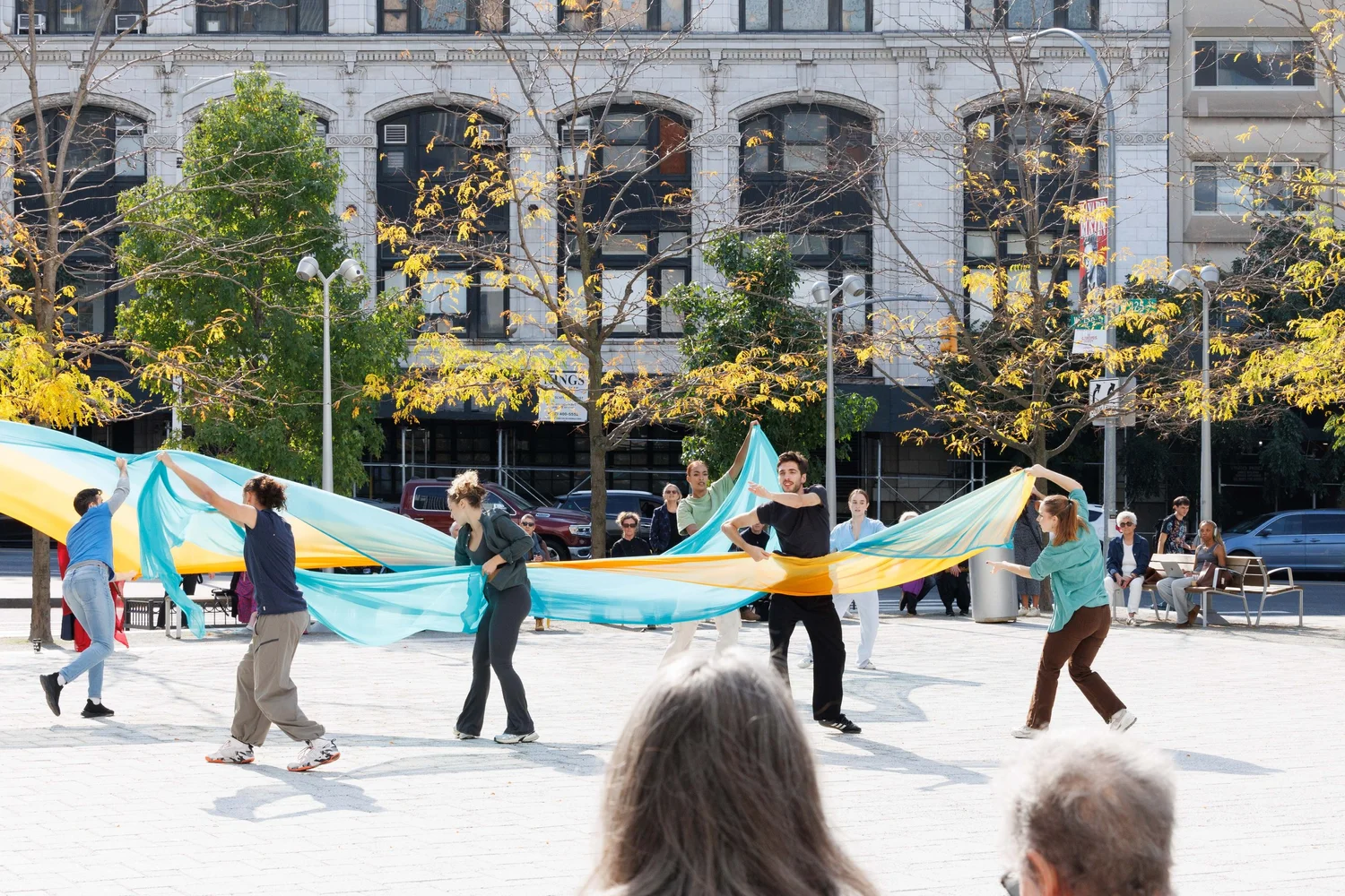 Shorelines — performance image 67
