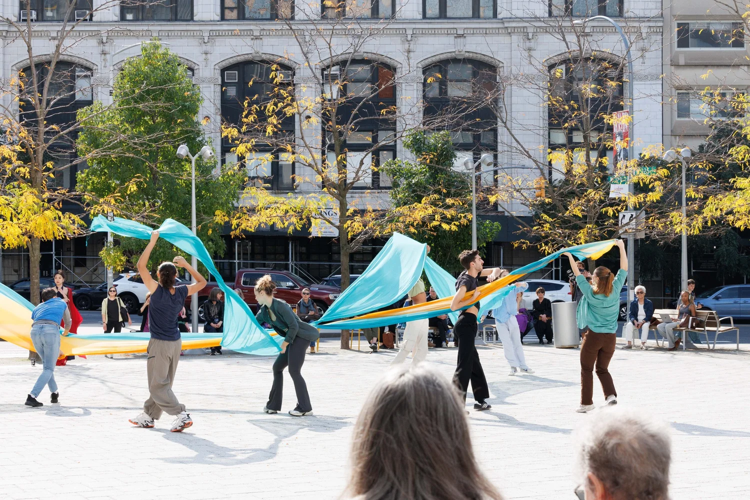 Shorelines — performance image 68