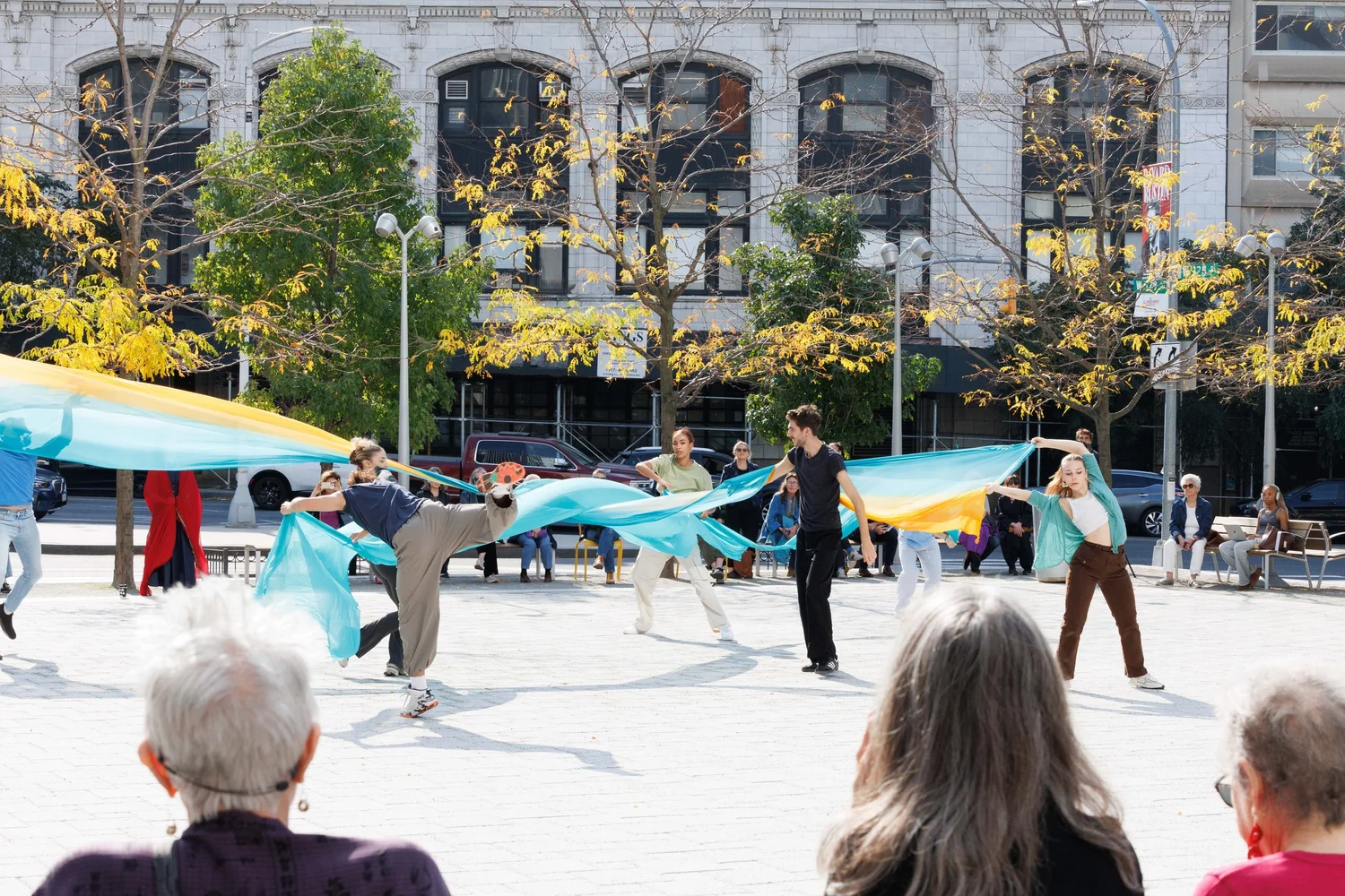 Shorelines — performance image 69