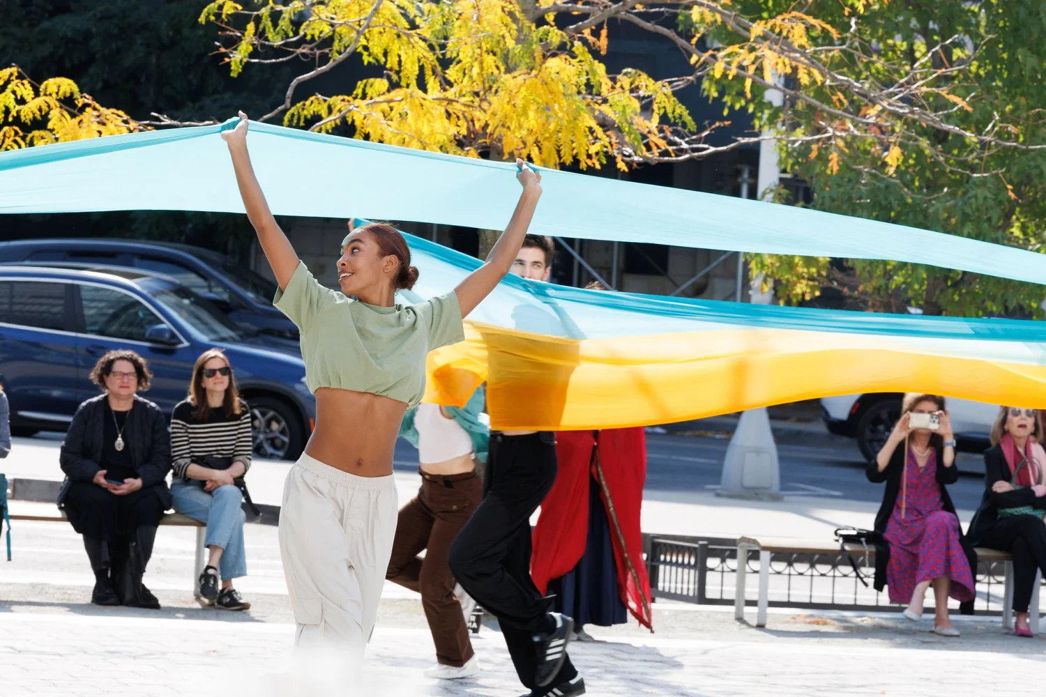 Shorelines — performance image 71