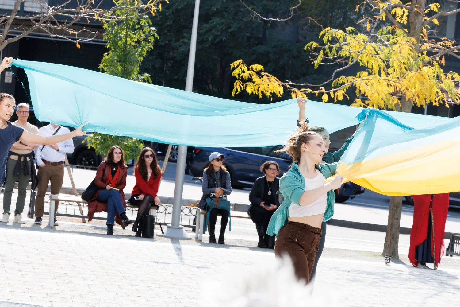 Shorelines — performance image 74