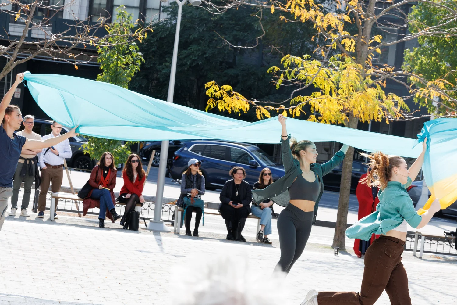 Shorelines — performance image 75