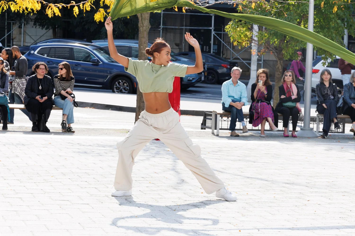 Shorelines — performance image 102
