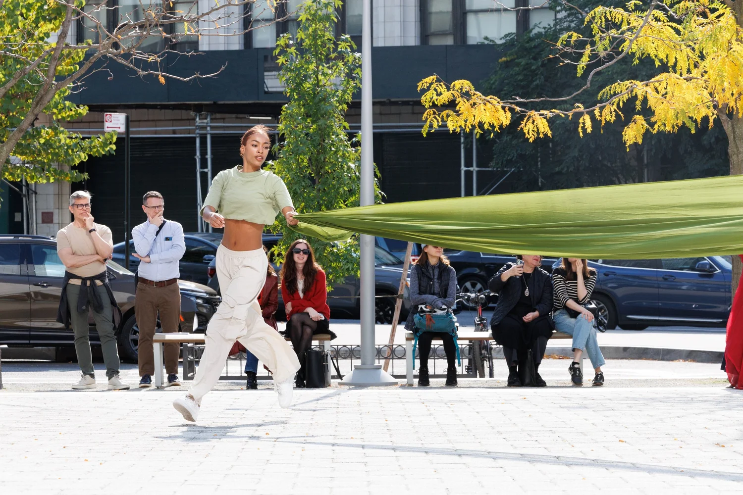 Shorelines — performance image 112