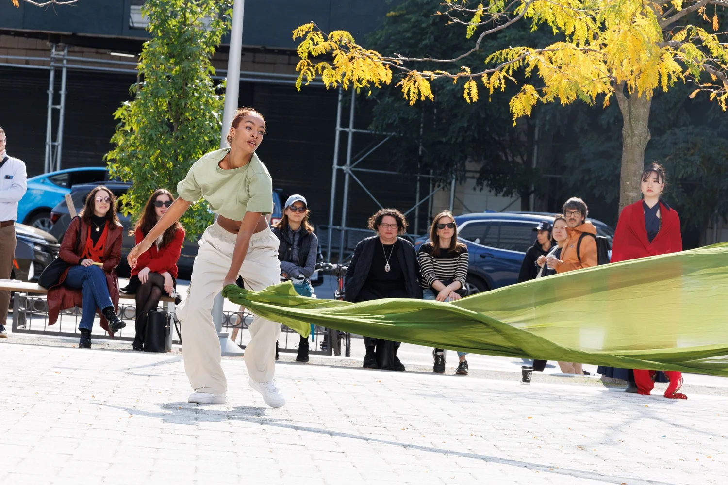Shorelines — performance image 116