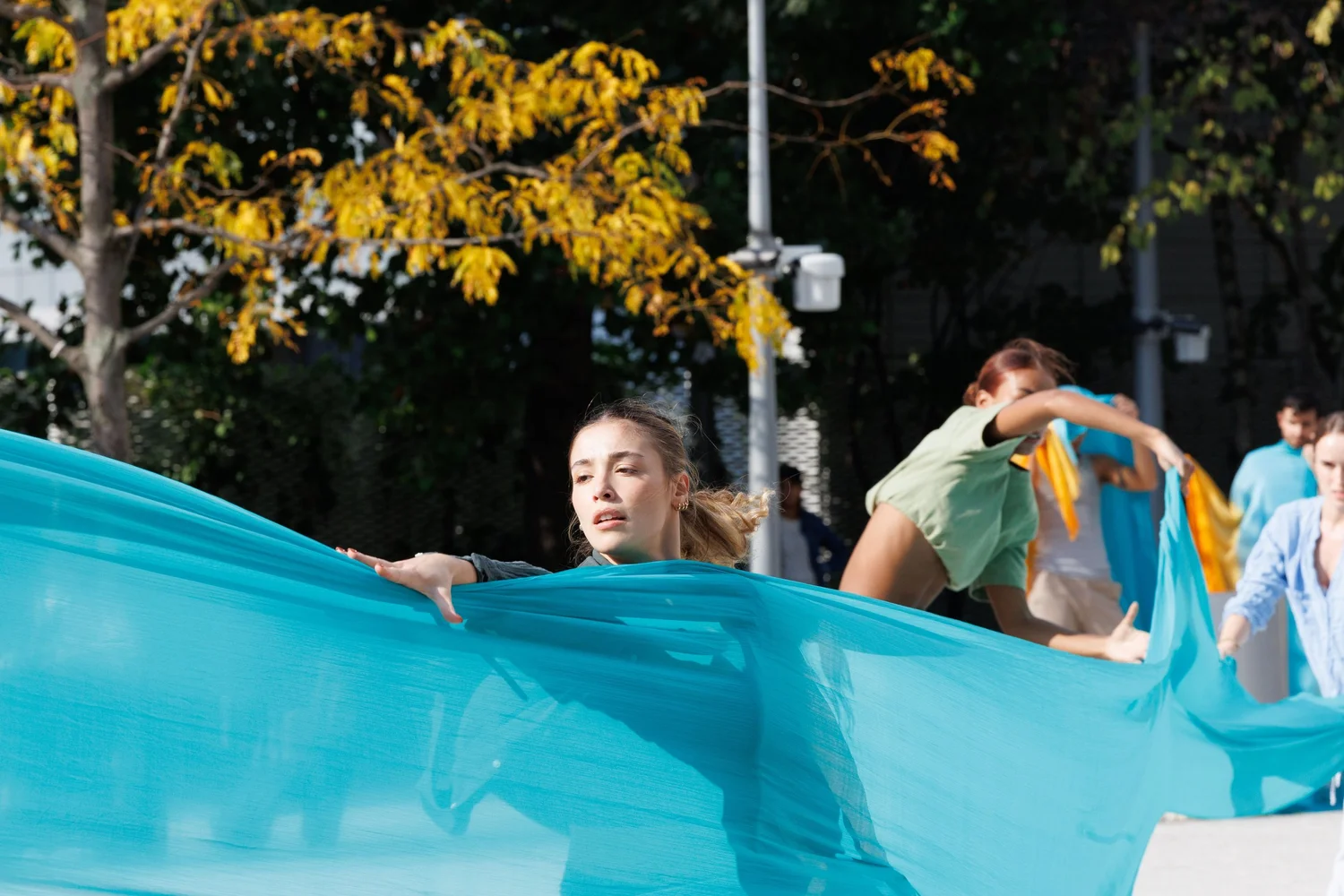 Shorelines — performance image 164
