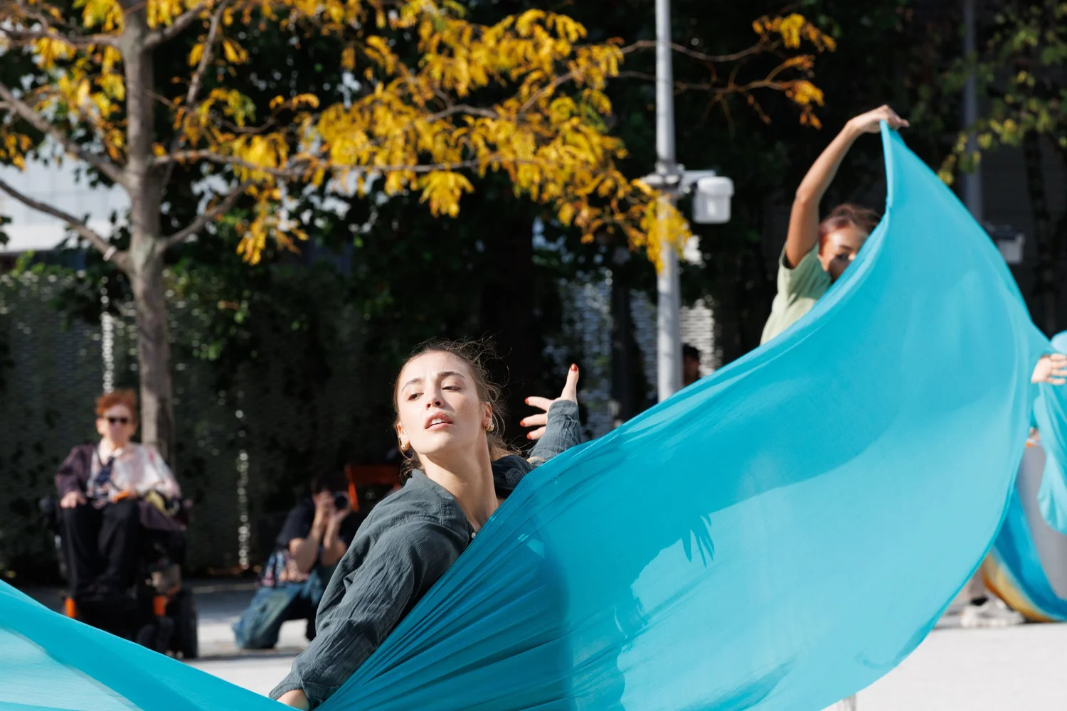 Shorelines — performance image 165