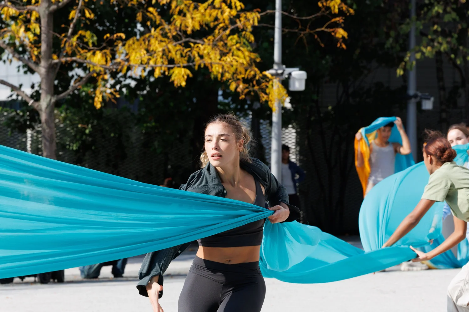 Shorelines — performance image 166