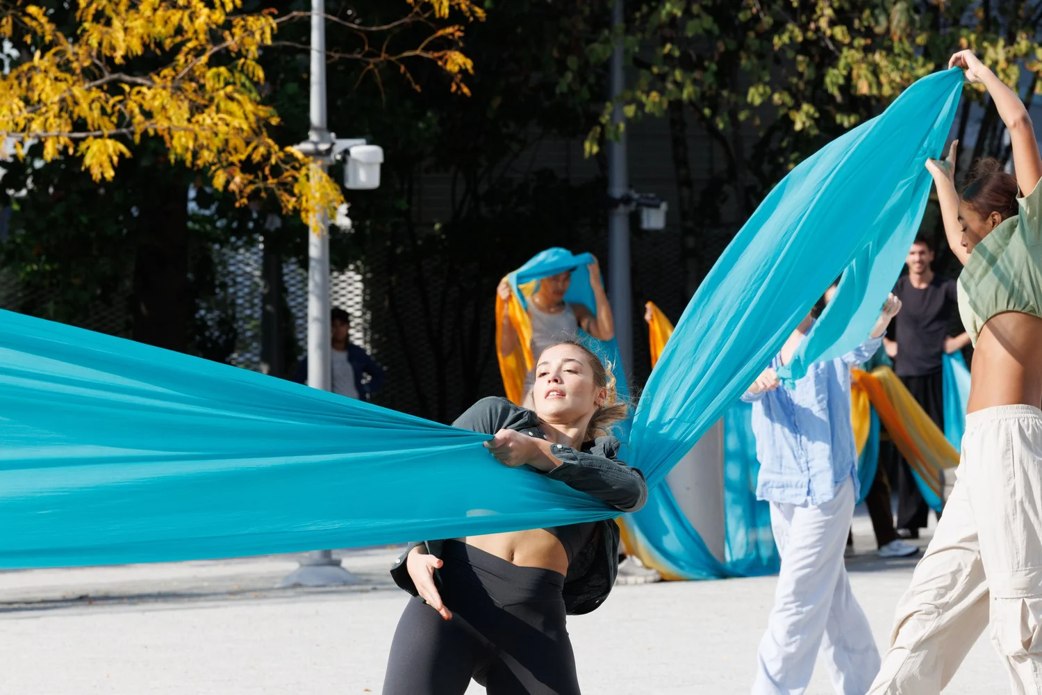 Shorelines — performance image 167