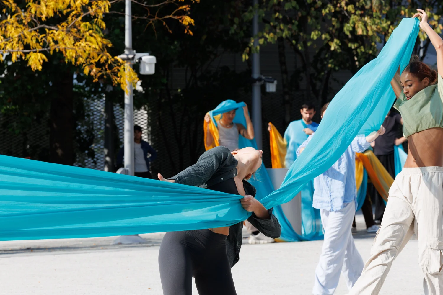 Shorelines — performance image 168