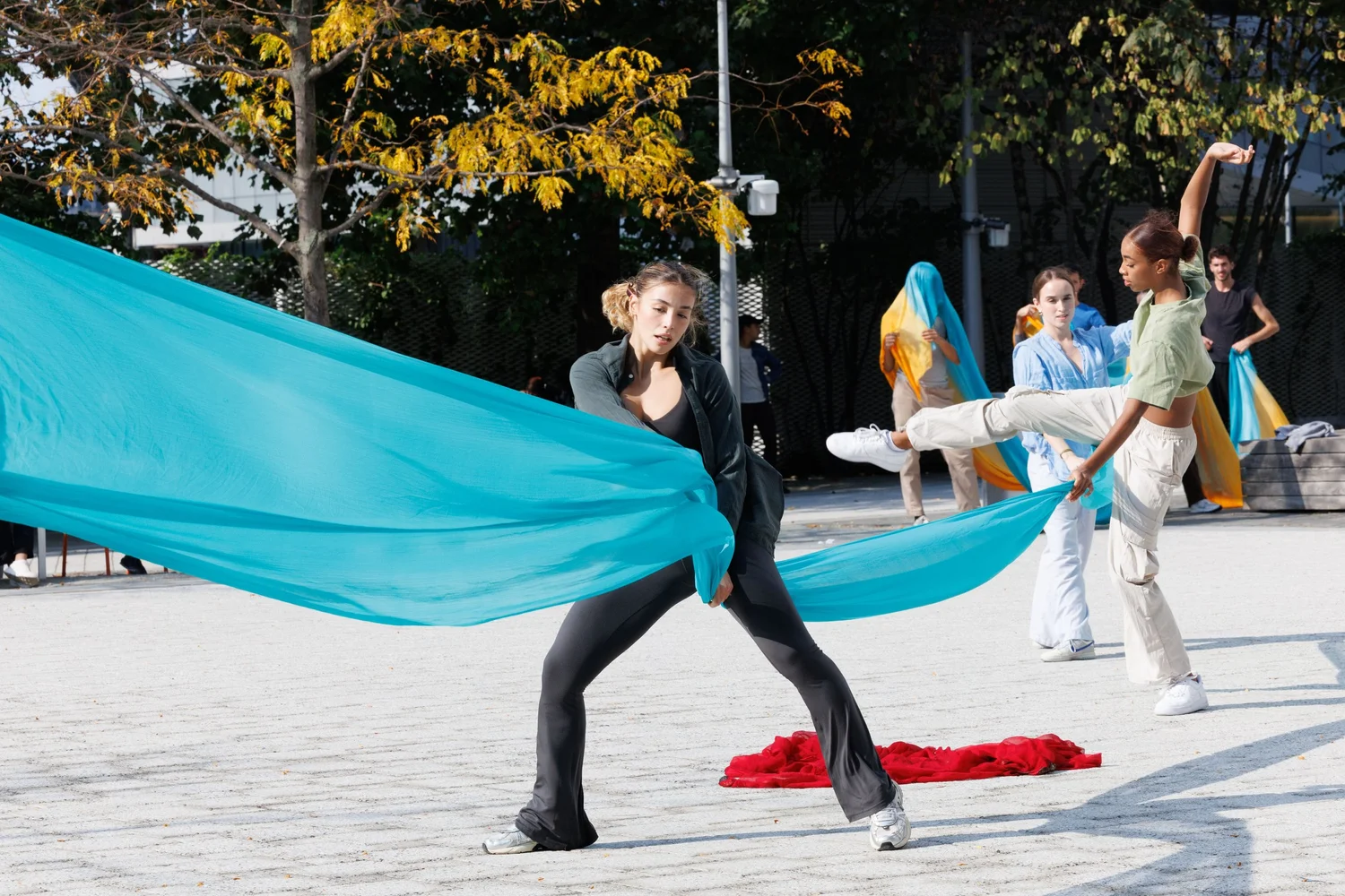 Shorelines — performance image 169