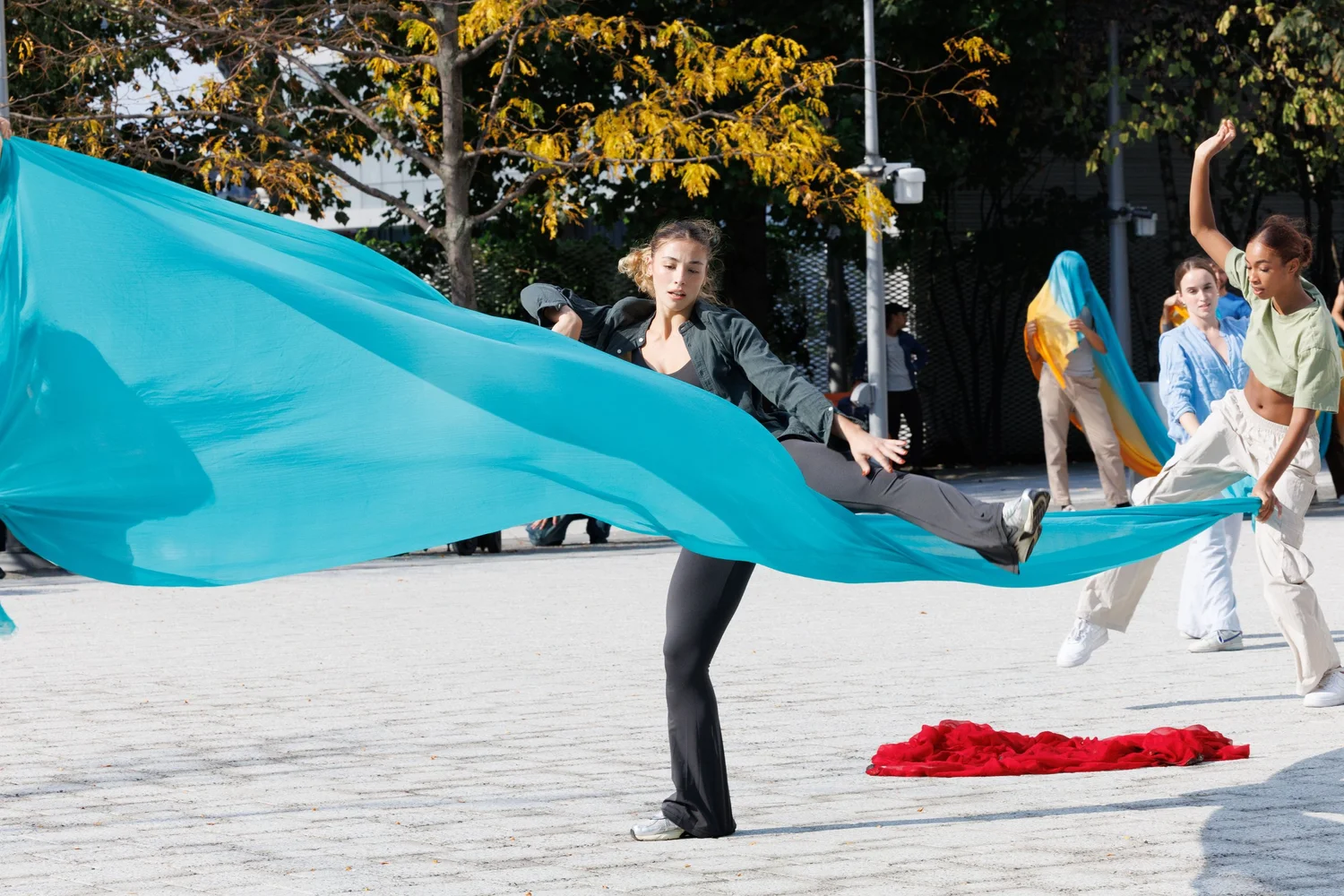 Shorelines — performance image 170