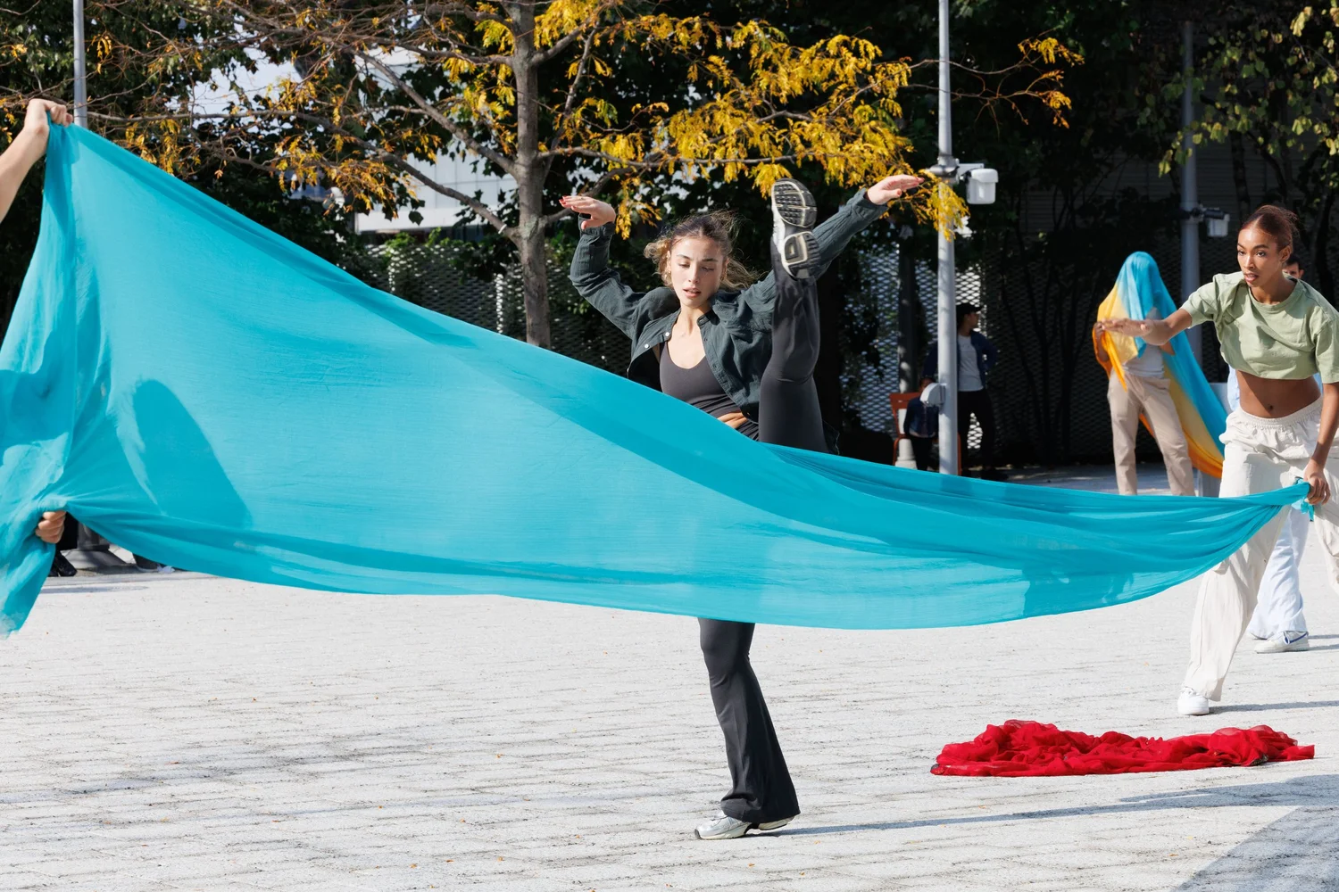 Shorelines — performance image 171