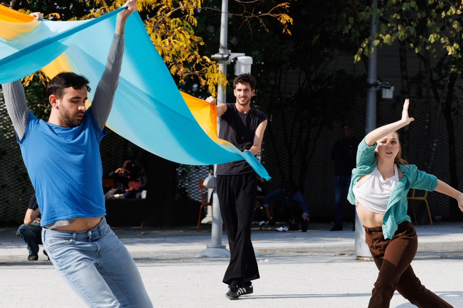 Shorelines — performance image 173