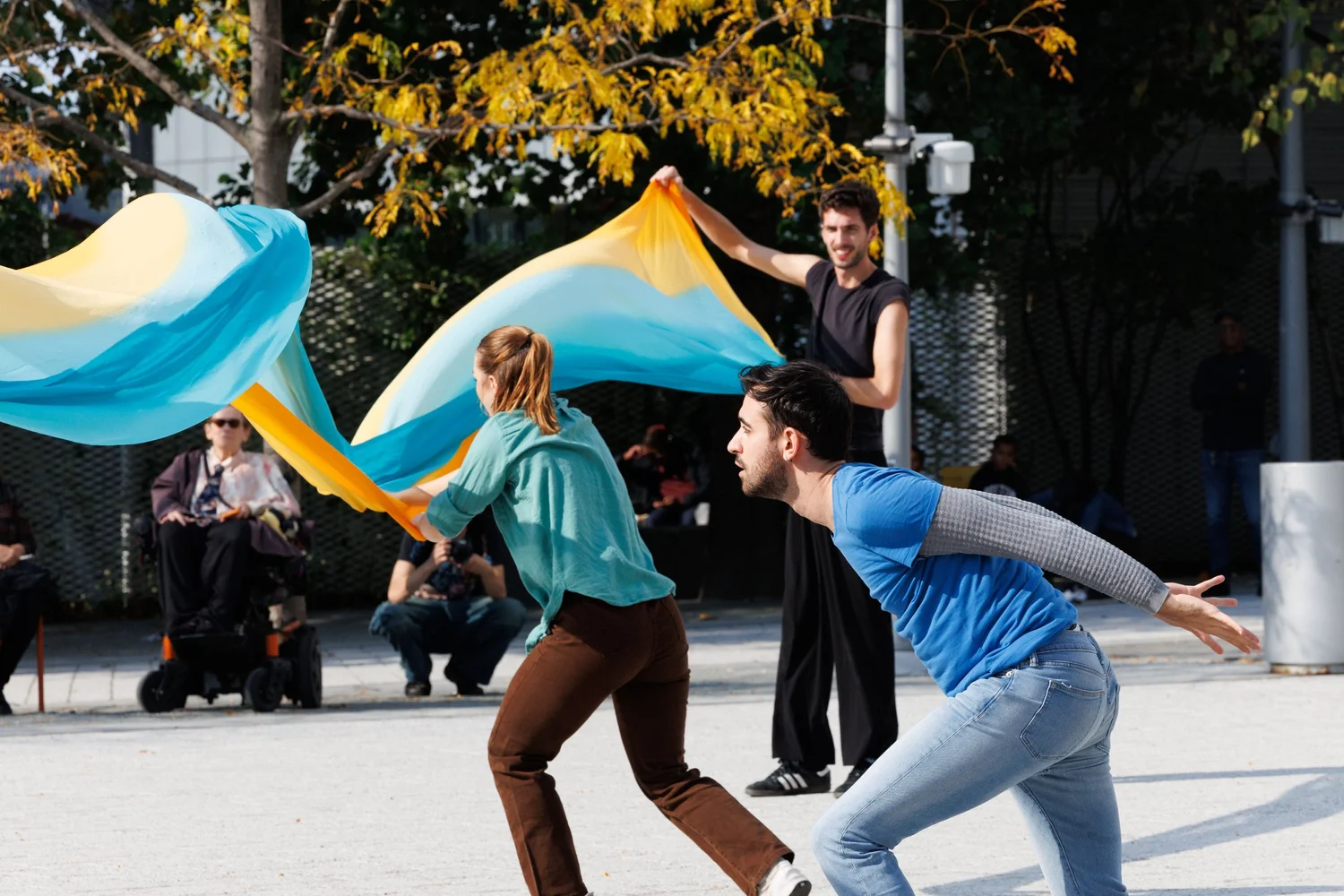 Shorelines — performance image 176