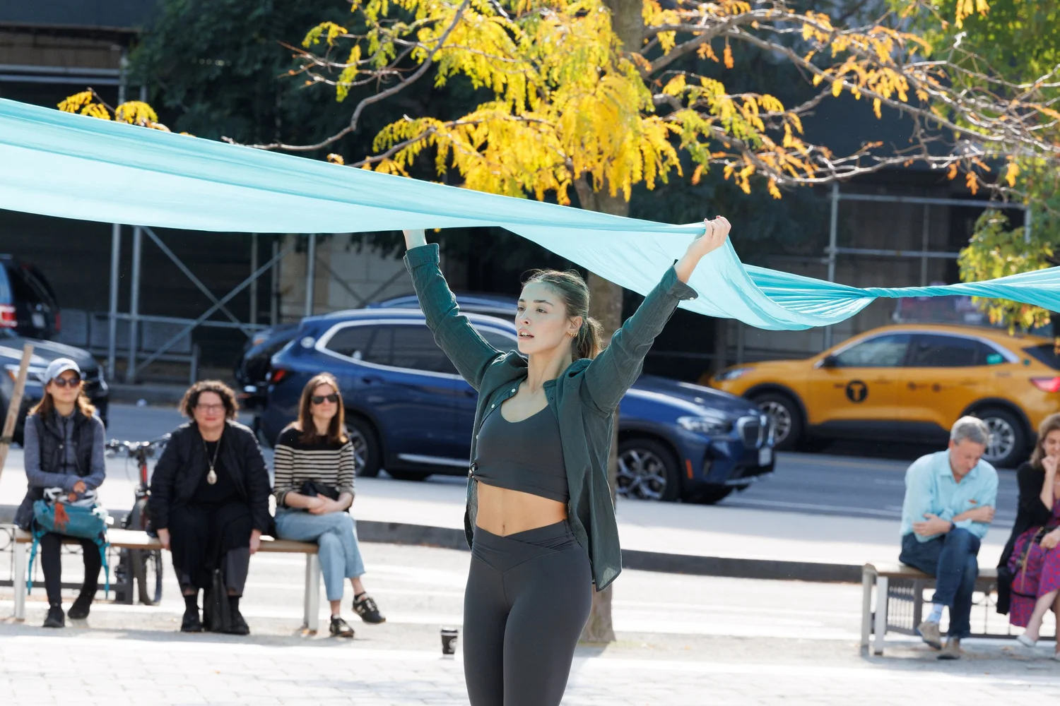 Shorelines — performance image 181