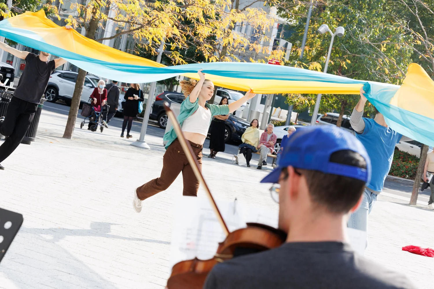 Shorelines — performance image 186