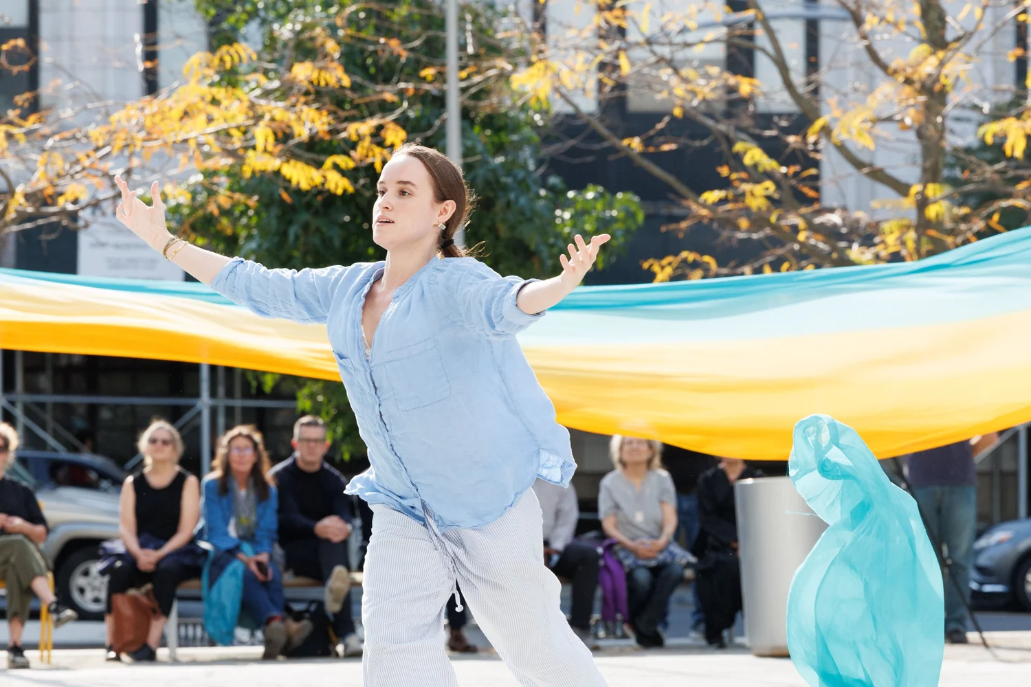 Shorelines — performance image 191
