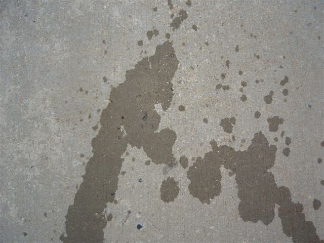 The River That Flows Both Ways — performance image 1
