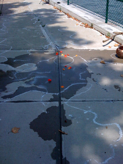The River That Flows Both Ways — performance image 13