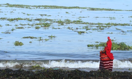 When the Sea Rises — performance image 8